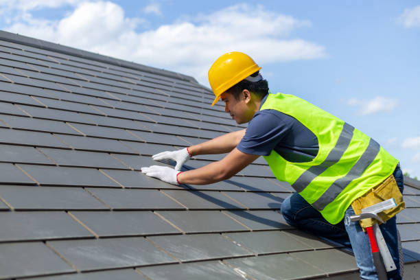 Best Roof Gutter Cleaning  in Park Layne, OH