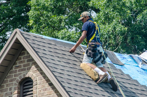 Best Roof Repair Services  in Park Layne, OH